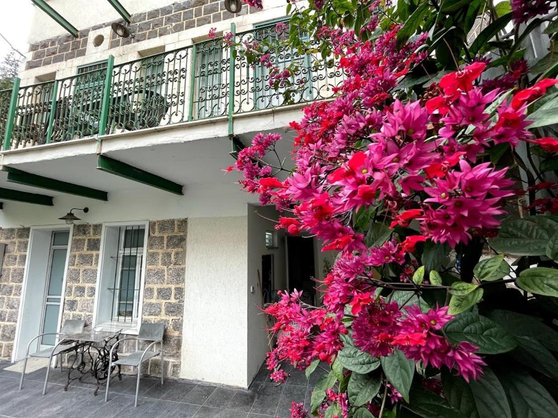 Berenice Winery Hotel Tiberíades Exterior foto